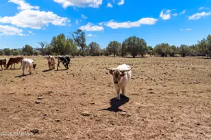 33425 W Cowboy Clint Way, Seligman, AZ 86337 - Photo 76