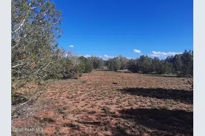 54243 N Via De Oro Pakway Parkway, Seligman, AZ 86337 - Photo 4