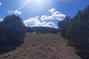 54243 N Via De Oro Pakway Pkwy, Seligman, AZ 86337 - Photo 1