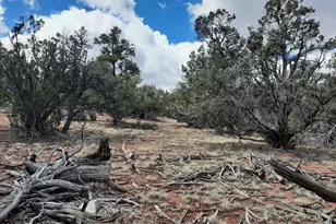 55660 N La Bruja Rd, Seligman, AZ 86337 - Photo 1