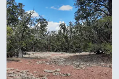 55660 N La Bruja Road, Seligman, AZ 86337 - Photo 4