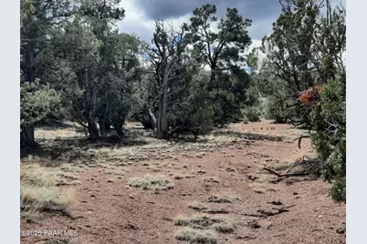 55660 N La Bruja Road, Seligman, AZ 86337 - Photo 8