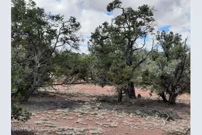 55660 N La Bruja Road, Seligman, AZ 86337 - Photo 2