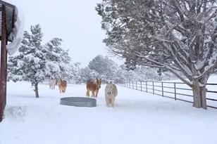 11200 W Balancing Rock Trail, Prescott, AZ 86305 - Photo 84