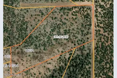 0 30118293D, Seligman, AZ 86332 - Photo 1