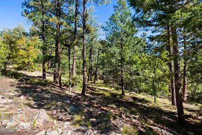 318X E Poland Road, Prescott, AZ 86303 - Photo 18