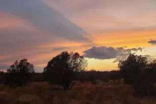 4353 N Highview Dr, Williams, AZ 86046 - Photo 1