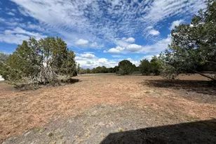 46625 N Jackrabbit Circle, Ash Fork, AZ 86320 - Photo 44
