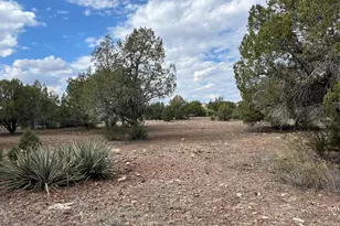 46625 N Jackrabbit Circle, Ash Fork, AZ 86320 - Photo 46