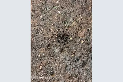 46625 N Jackrabbit Circle, Ash Fork, AZ 86320 - Photo 48