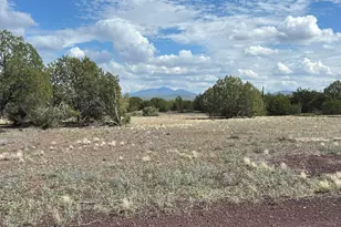 46625 N Jackrabbit Circle, Ash Fork, AZ 86320 - Photo 42