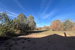 0 Basconia Rd, Seligman, AZ 86337 - Photo 28