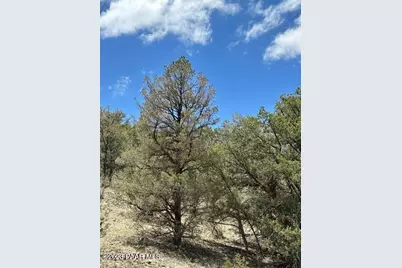 32727 W Bucks Road, Seligman, AZ 86337 - Photo 18