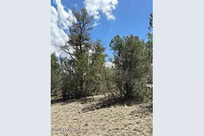 32727 W Bucks Road, Seligman, AZ 86337 - Photo 14