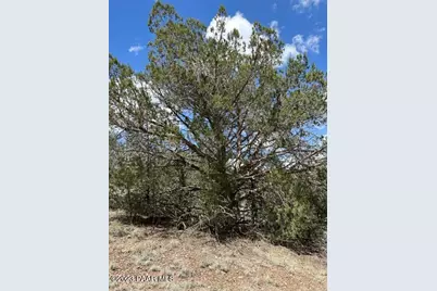 32727 W Bucks Road, Seligman, AZ 86337 - Photo 2