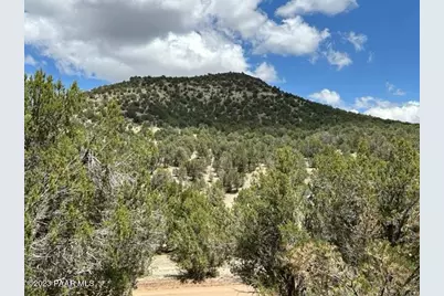 32727 W Bucks Road, Seligman, AZ 86337 - Photo 10