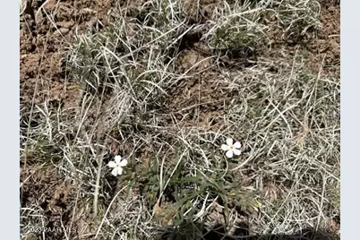 32727 W Bucks Road, Seligman, AZ 86337 - Photo 6