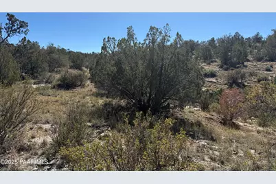 33367 W Hora Circle, Seligman, AZ 86337 - Photo 14