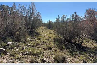 33367 W Hora Circle, Seligman, AZ 86337 - Photo 16