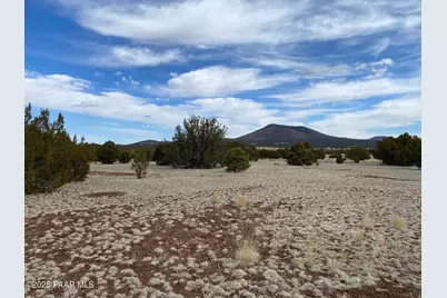 7378 Tulip Trail, Williams, AZ 86046 - Photo 2