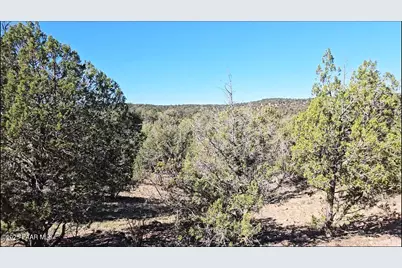 54913 N Echo Lane, Seligman, AZ 86337 - Photo 2