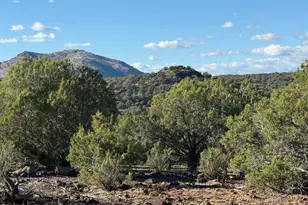 17375 Beale Wagon Rd, Williams, AZ 86046 - Photo 1