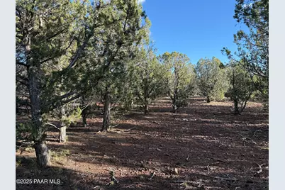 17375 Beale Wagon Road, Williams, AZ 86046 - Photo 30