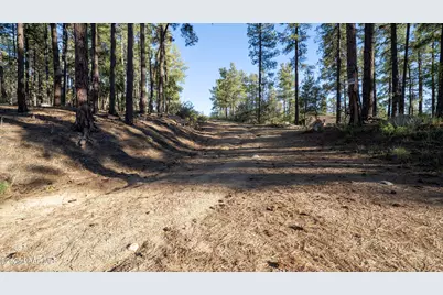 3625 S Tanager Ridge Way, Prescott, AZ 86303 - Photo 10