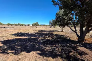 1505 W Bernadines Way, Ash Fork, AZ 86320 - Photo 44