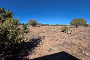 1505 W Bernadines Way, Ash Fork, AZ 86320 - Photo 42