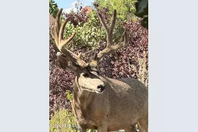 1390 E Valley View Road, Prescott, AZ 86303 - Photo 44