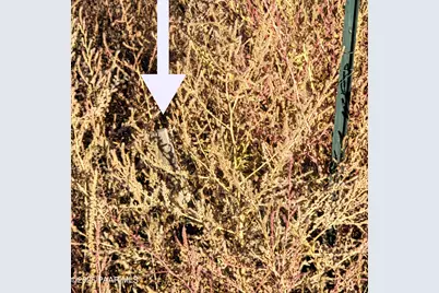 11400 N T Quarter Circle, Prescott Valley, AZ 86315 - Photo 10