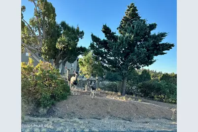 6575 W Leaning Bear Trail, Prescott, AZ 86305 - Photo 32