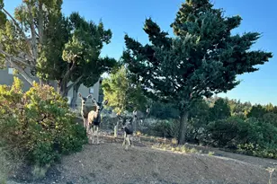 6575 W Leaning Bear Trail, Prescott, AZ 86305 - Photo 32