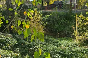 353 Whipple St, Prescott, AZ 86301 - Photo 42