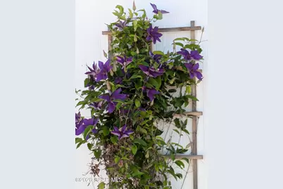 3107 W Country Quail Trail, Paulden, AZ 86334 - Photo 50