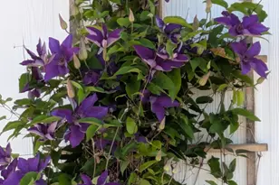 3107 W Country Quail Trail, Paulden, AZ 86334 - Photo 50