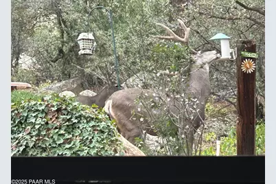 212 Creekside Circle #2c, Prescott, AZ 86303 - Photo 24