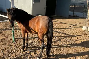 13686 S Burton Rd, Mayer, AZ 86333 - Photo 32