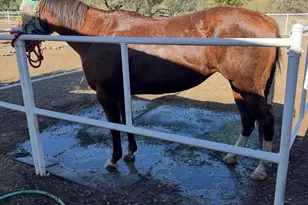 13686 S Burton Rd, Mayer, AZ 86333 - Photo 28