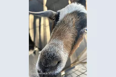 13686 S Burton Road, Mayer, AZ 86333 - Photo 38