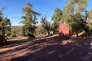 34460 W North Via De Oro Pkwy, Seligman, AZ 86337 - Photo 46