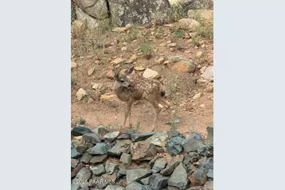 1716 Alpine Meadows Lane #305, Prescott, AZ 86303 - Photo 46