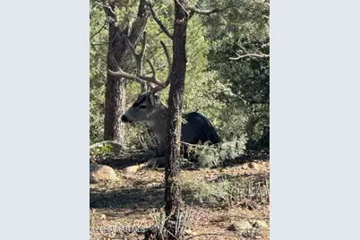 1716 Alpine Meadows Lane #305, Prescott, AZ 86303 - Photo 48