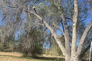 420 Robin Dr, Prescott, AZ 86305 - Photo 6