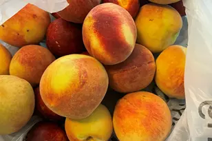 2515 Nelson Ln, Chino Valley, AZ 86323 - Photo 32