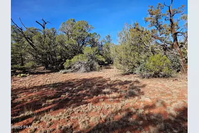 54892 N Potrero Lane, Seligman, AZ 86337 - Photo 12