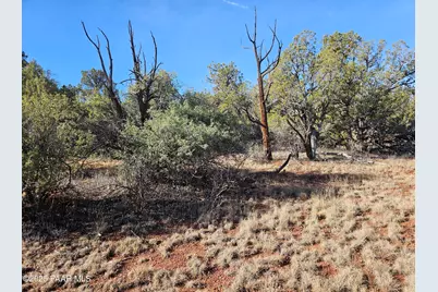 54892 N Potrero Lane, Seligman, AZ 86337 - Photo 6