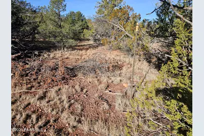 54892 N Potrero Lane, Seligman, AZ 86337 - Photo 4