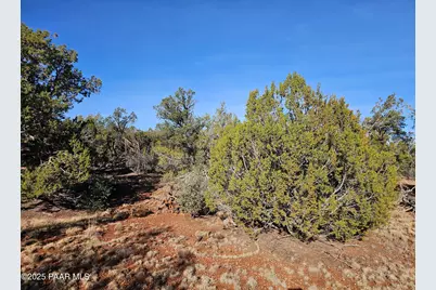 54892 N Potrero Lane, Seligman, AZ 86337 - Photo 1